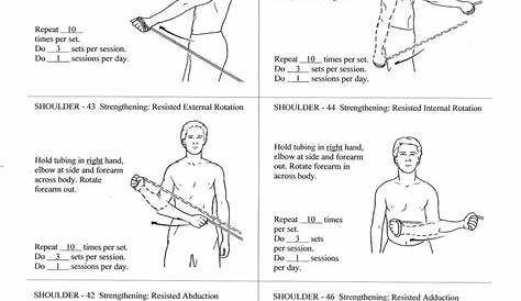 Seated Theraband Exercises For Seniors Pdf Book Updated Simply