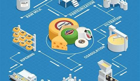 Layout di infografica isometrica di produzione di formaggio con undici