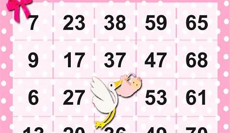 Programa para sorteio de numeros bingo