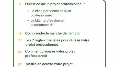 Lettre Projet Professionnel Exemple Mon expertise