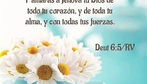 Descubrir 61+ imagen promesas de dios devocional buenos dias - Viaterra.mx