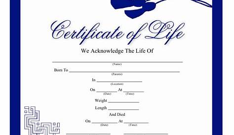 Life Certificate from Doctor in Usa Form - Fill Out and Sign Printable