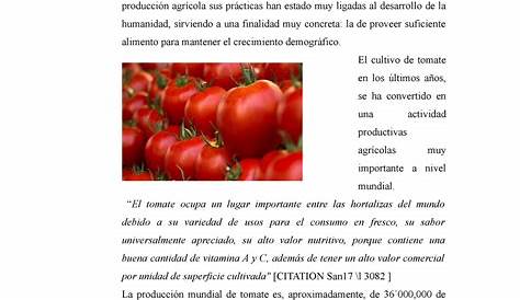 Generalidades sobre cultivo de tomate by Esther - Issuu