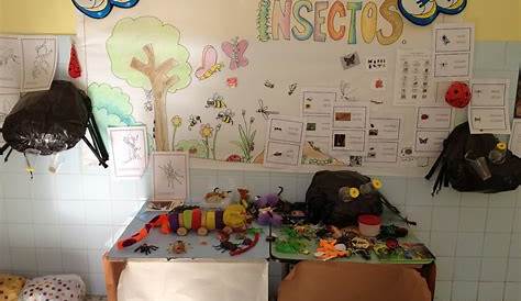 Proyecto insectos - Escuela infantil SOLYLUNA - Guardería en Nervión