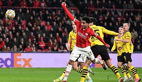 PSV vs Borussia Dortmund Preview, Team News, Match Tickets and