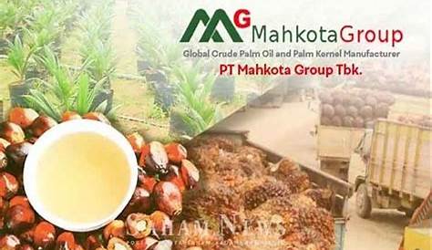 Palm Oil Company and Mill in Indonesia | PT Mahkota Group Tbk
