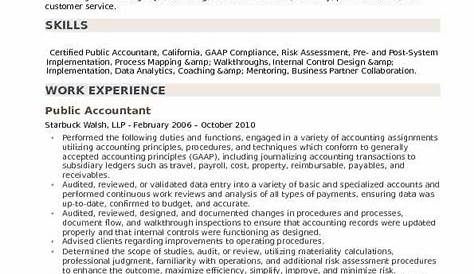 Big 4 Auditor Resume Examples - Resume Example Gallery