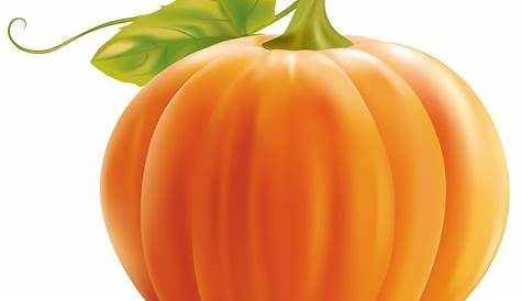 Pumpkin PNG Clip Art | Gallery Yopriceville - High-Quality Free Images