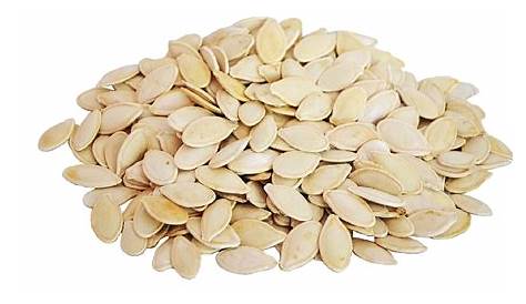 Pumpkin seeds - PNG image with transparent background | Free Png Images