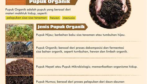 Cara Membuat Pupuk Kompos dan Kandungan Pupuk Kompos - Article - Plimbi