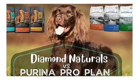 Purina Pro Plan vs Orijen Dog Food DailyDogDrama