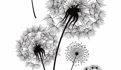 Black And White Flower - Unlimited Download. cleanpng.com. | Dandelion