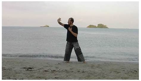 5 Element Qigong Exercise 2 Water Element -The Kidneys and the Bladder