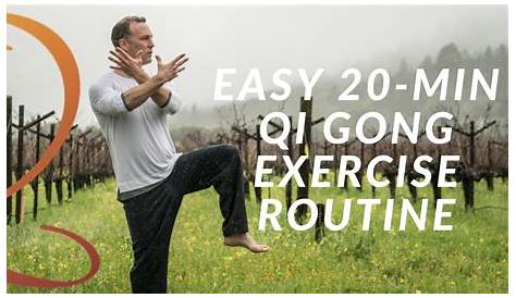 20-Min Qi Gong Exercise Routine - Easy Home Workout with Lee Holden