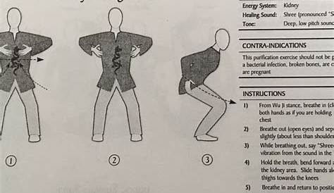 5 Element Qigong Exercise 2 Water Element -The Kidneys and the Bladder