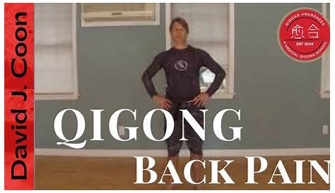 The Pain-Free Back: 54 Simple Qigong Movements for Healing and