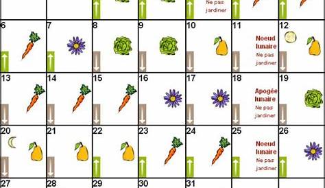30 légumes à semer...découvrez le calendrier complet et précis des