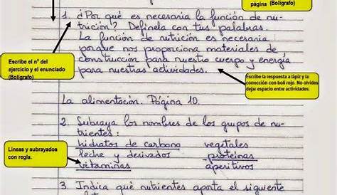 Cuaderno de trabajo 1.pdf