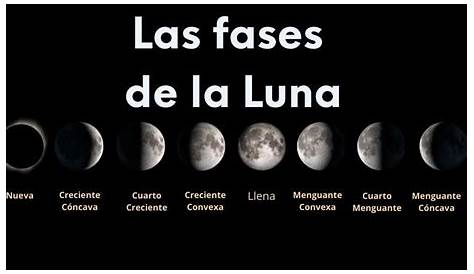 Fases De La Luna Enero 2023 Argentina - Domingo Fleming