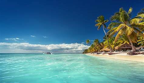 8 razones por las que tienes que visitar Punta Cana - Destinations