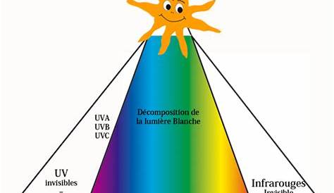 Impact cellulaire des UV solaires - Encyclopédie de l'environnement