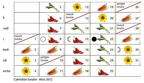 Comment semer des courges, concombres, courgettes et cornichons