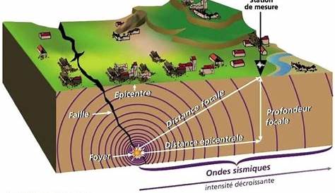 L'origine et la propagation des ondes sismiques - Collège André Maurois