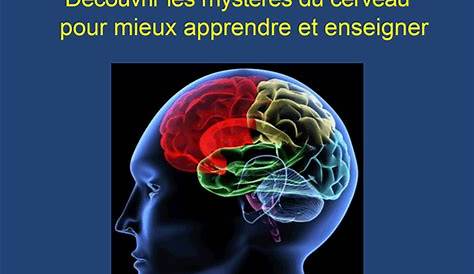 Qu'est-ce que la neuroscience? - fr.3b-international.com