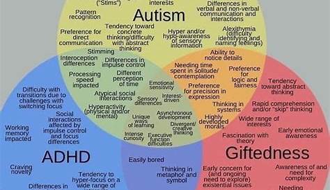 Quiz Autism Vs Giftedness The Six Types Of Gifted Child Jade Rivera
