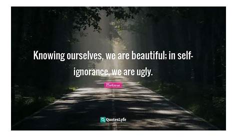 Quotes About Self Ugly Weblog ‘s Quote Is Irrelevant It Is…