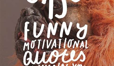 35 Funny Motivational Quotes About Life and Happiness