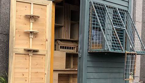 Perfect. Just a little too covered. | Pigeon loft, Pigeon loft design