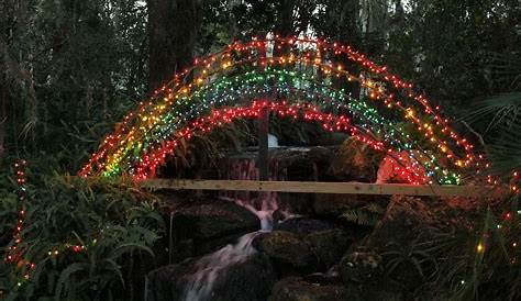 Rainbow Springs Christmas Decorations 2024