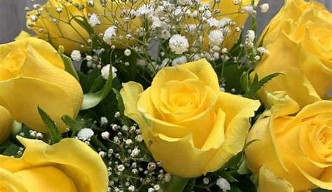 Ramo de rosas amarillas Yellow Bouquets, Begonia, Yellow Roses, Pastel