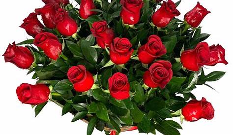 12 Red Roses to Spain - Valentine's Day Flowers | Botanic Flora