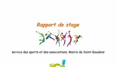 Sommaire Du Rapport de Stage | PDF