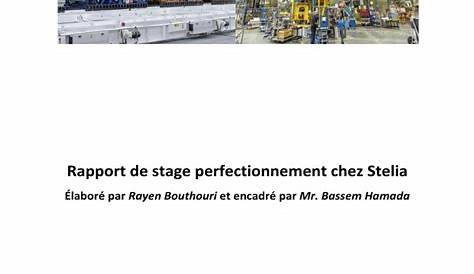 Rapport de Stage | PDF | Usinage | Acier