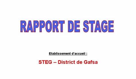 17+ Exemple De Sommaire Rapport De Stage Bts