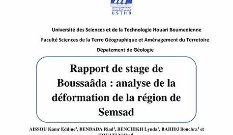 Exemple ProblÃ©matique Rapport De Stage Vente - doniemas