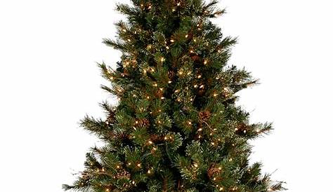 Real Christmas Tree Free Download Png