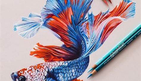 Realistic Fish Drawing at PaintingValley.com | Explore collection of