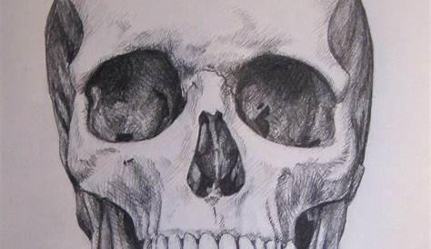 Realistic Abnormal Skull Drawing in Charcoal | Skull drawing sketches