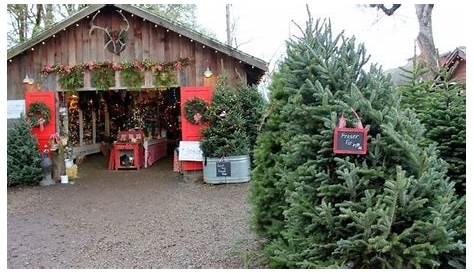 Pin by Gena Sloan on Gravel Road Traditions Christmas red truck