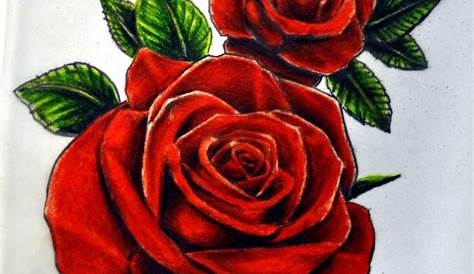 the red rose tattoo - Tattoo Design | Red rose tattoo, Rose tattoo