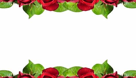 Red Roses Border Png - Red Roses Border Design Hd - Free Transparent