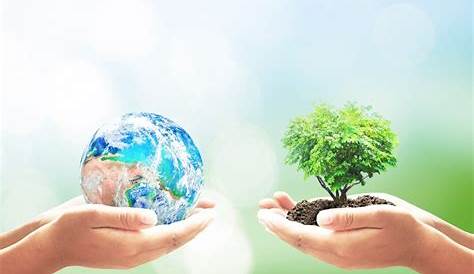 7 acciones que puedes realizar todo el año para cuidar del medio ambiente