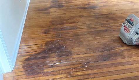 Restoring hardwood floors under carpet without refinishing the wood