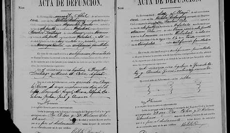 Locura en un registro civil en Mar del Plata: insultó a los empleados y