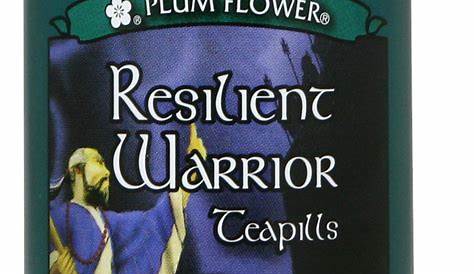 Resilient Warrior, Ren Shen Bai Du Wan, 200 ct – Chinese Herbs Direct