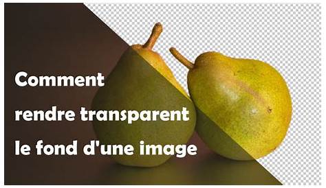 Rendre une image transparente - Support Office